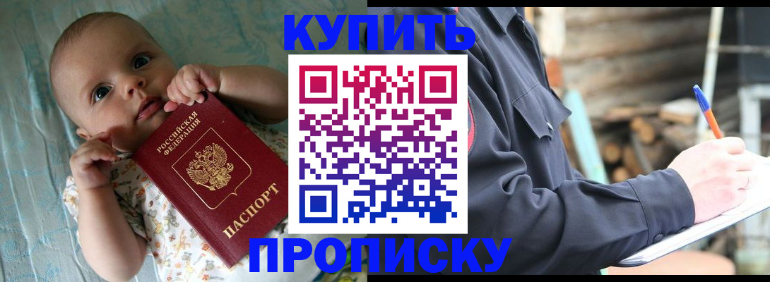 прописка поиск в Химках